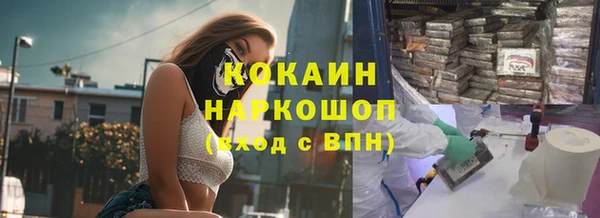соль ск Зеленодольск