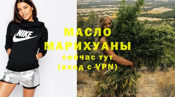 индика Заволжск