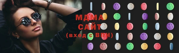 дживик Инта