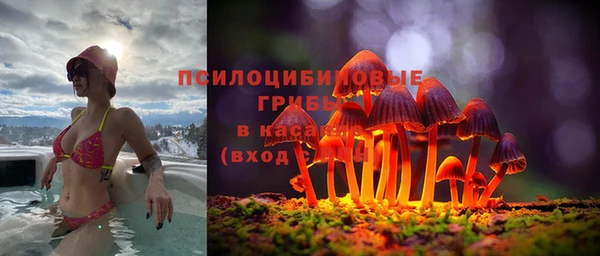 соль ск Зеленодольск