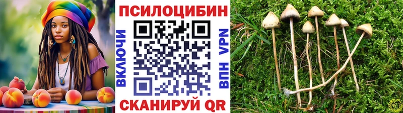 Галлюциногенные грибы Psilocybe  Купить закладки  Палласовка 